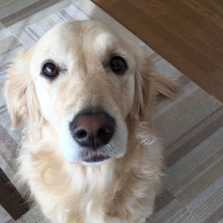 Af5afe61 b995 43c9 926b 84105d69dc75