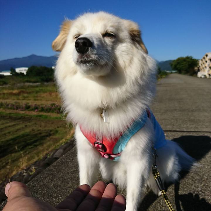 Af5b1779 9ed4 4890 b64b d56048d34fd0