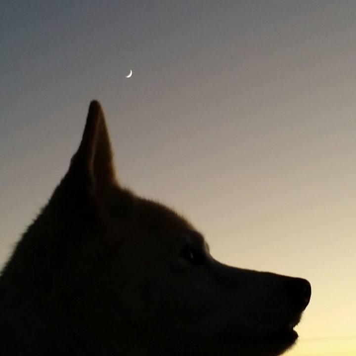 Af5b3620 a61b 4248 83ed b8b246d19ac3