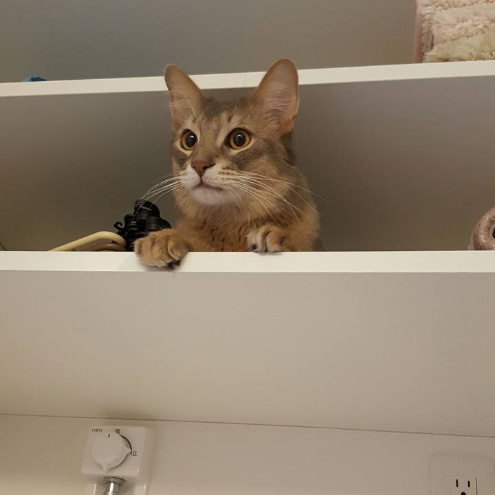 Af5c28c2 3442 4a99 a0f6 186633b19b60