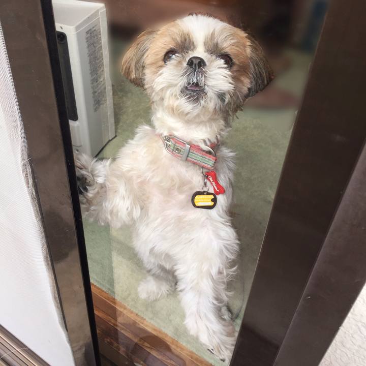 Af5c6dea 4b0a 4d5e a9dc 4b42b5bebf27