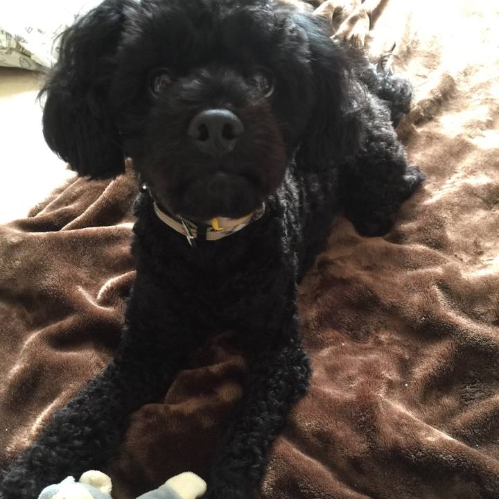 Af5c78ff 3500 4543 85b5 b71fde099f4a