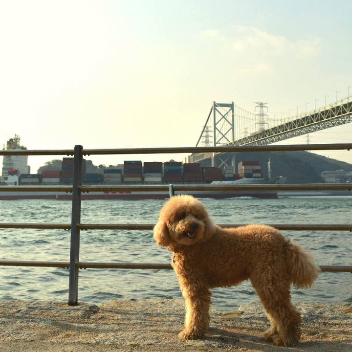 Af5cbd1e 7dcb 4291 a014 78a74608eadd