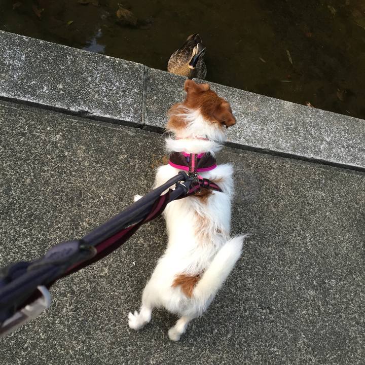 Af5cf8ce bf5f 4940 8914 9550d3e91d9f