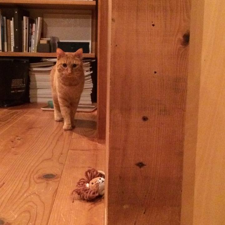 Af5d244e c5a2 4e62 928c 94cb10f0ffc7