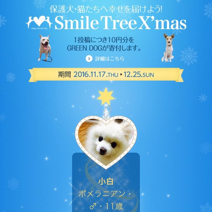 Af5d8414 306d 45e1 bcfb 25251a9a27a3