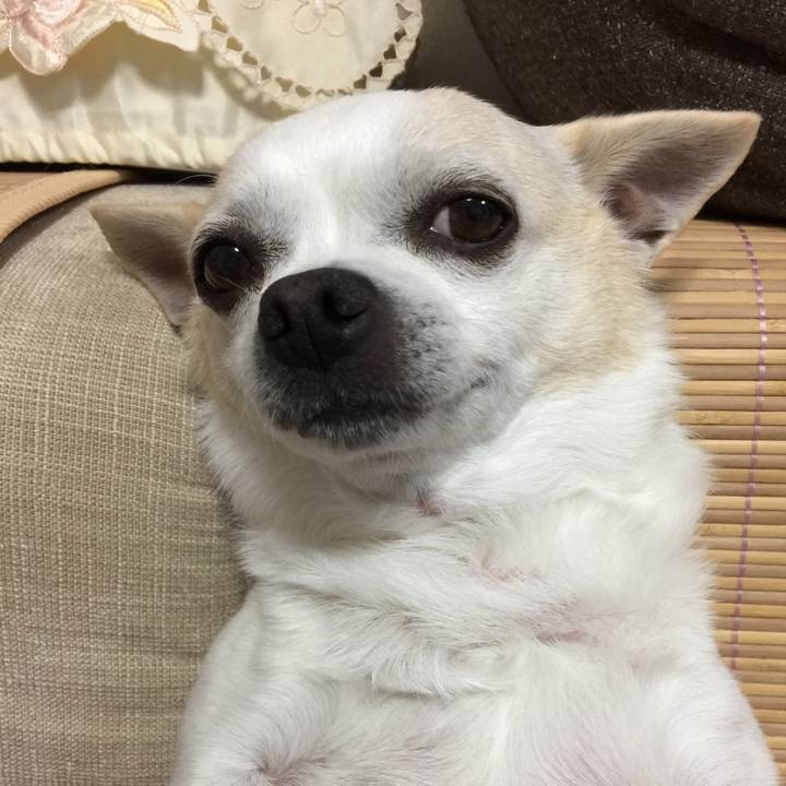 Af5e3512 0d2f 43ac 8f98 f614fbd3ed49