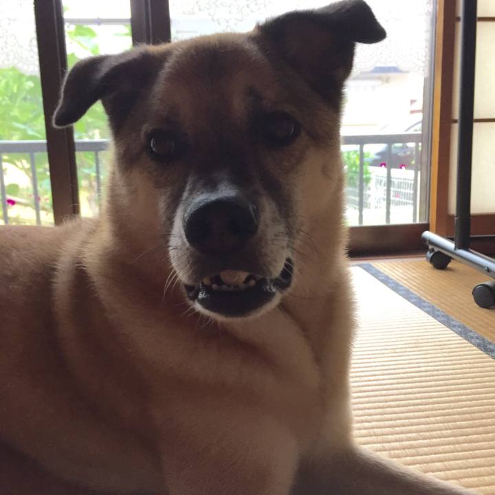 Af5e60a2 38ec 4030 993b a78fdf8ef538