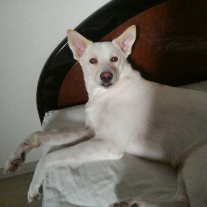 Af5ef75b 1c3a 4748 a0c8 bc531a537dd6