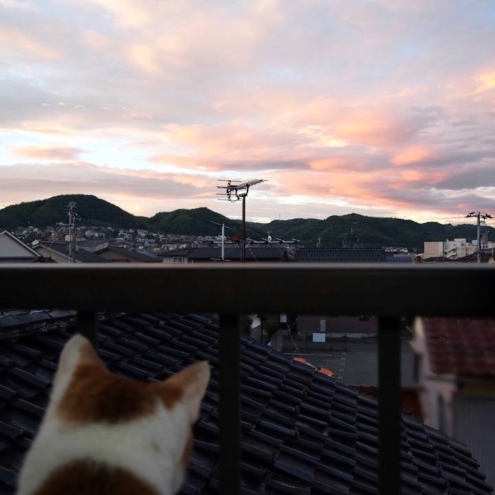 Af5faed3 40e9 4b01 bc57 06ec27015e4c