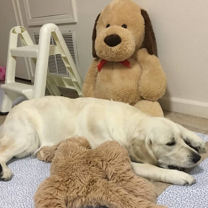 Af5fef45 407b 4eb8 823c 5e72017d6ee1