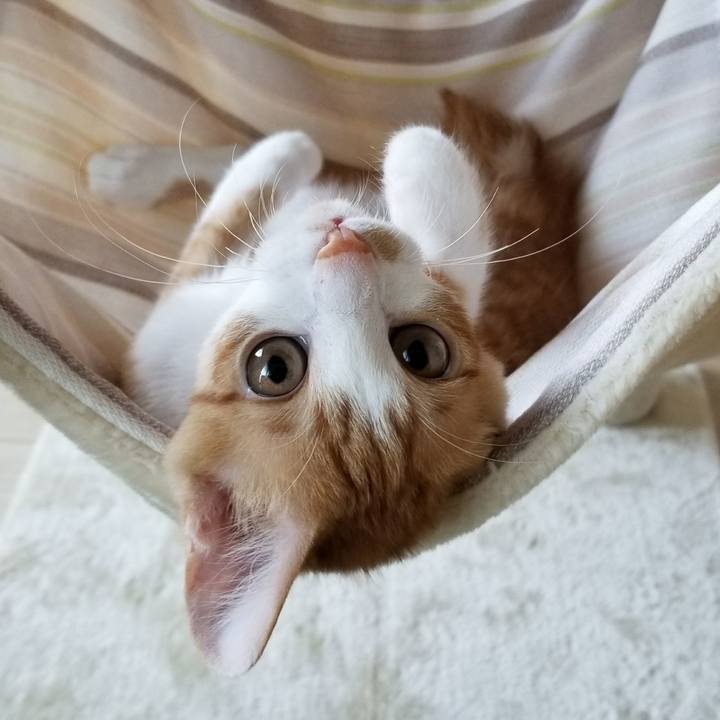 Af606be1 a23a 42f9 b7ce ca91ee1be50a