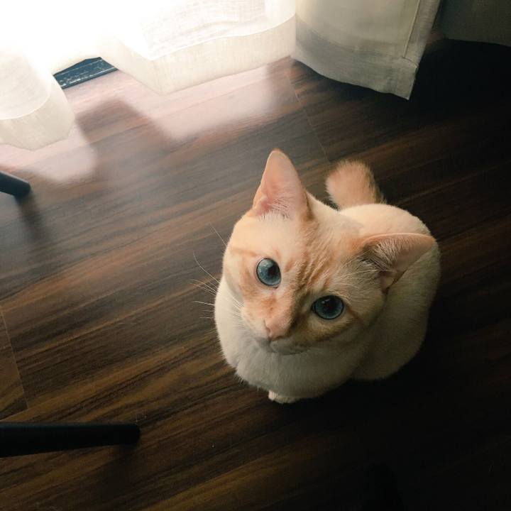 Af616208 d5bd 499d b107 c3df479a6809