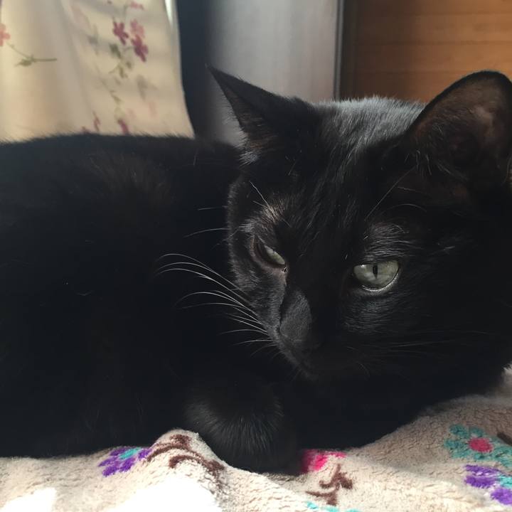 Af626694 6ad0 4e9e a21c 634d4f6f5557