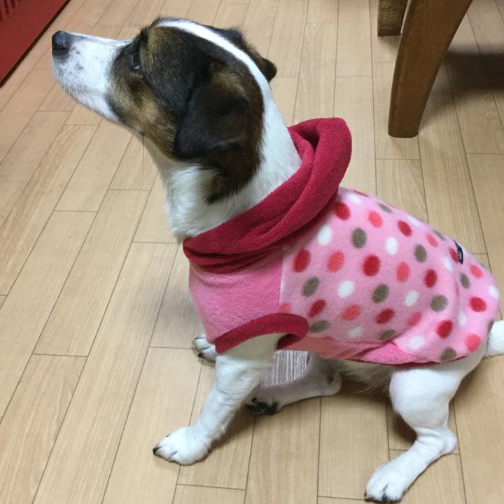 Af63df2b 8283 424e ab45 bca9e027f640