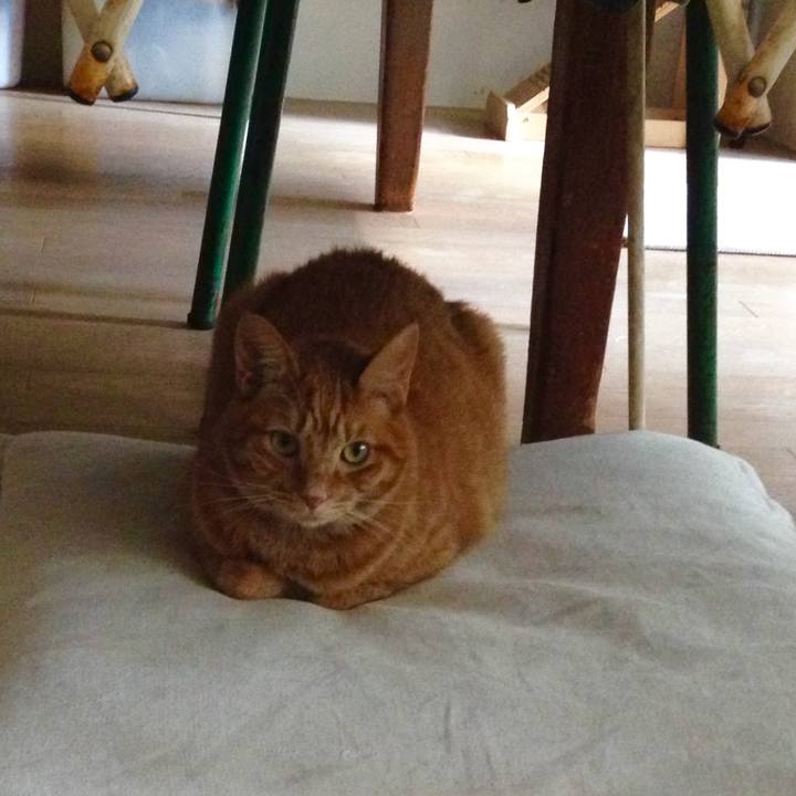 Af640d1b dd63 4c48 b91e afdbe1c1b9c1