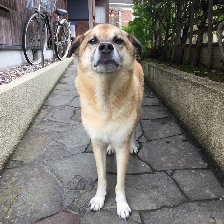 Af647f1e b609 43cc 8925 ea4148d4b5cb