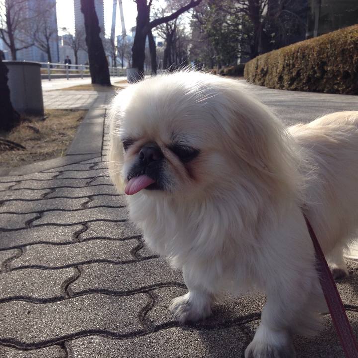 Af65687f 6377 4c22 b414 993f74a2c7af