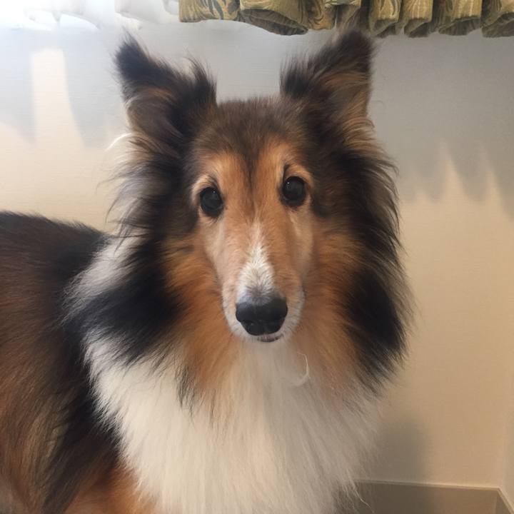 Af660336 1b77 40e7 94cf a556deb755aa