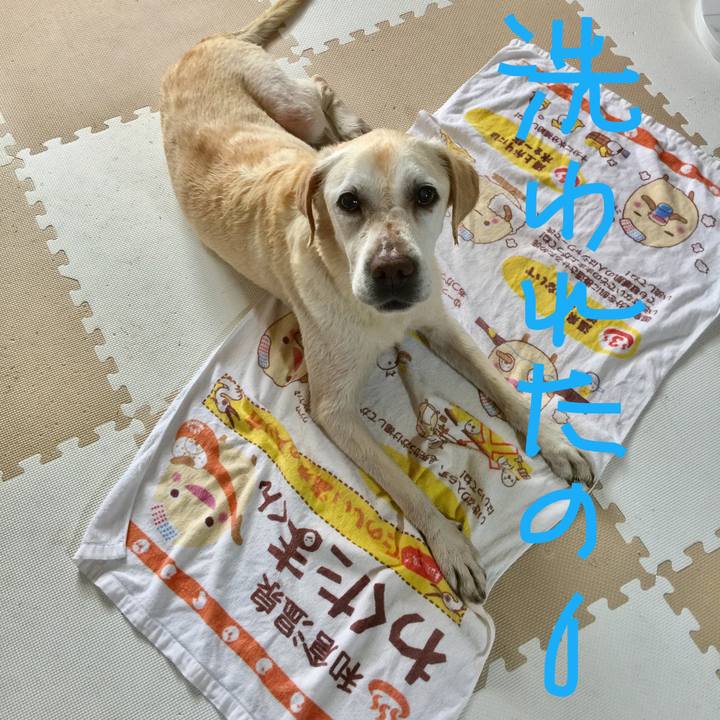 Af66bbda a79b 43dc b877 349e5039f976