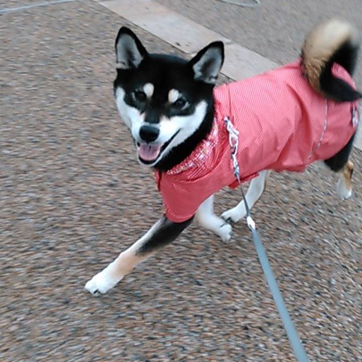 Af67308e ab72 4fde bc8c 2d51586d64a1