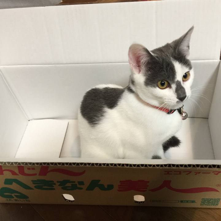 Af676e96 03ee 4214 b83e 85efa1720487