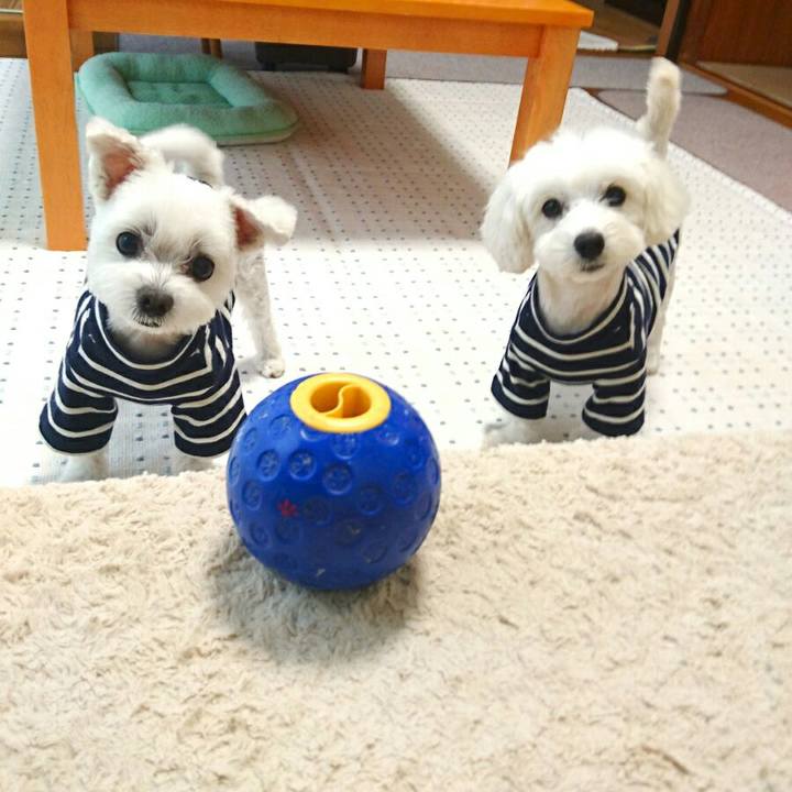 Af677c66 cab8 454f 9f86 a2656f324669