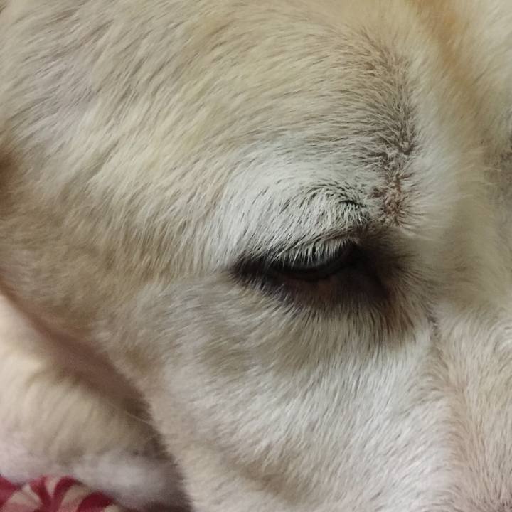 Af6799ea e2fb 4a23 be37 dc394b811d09