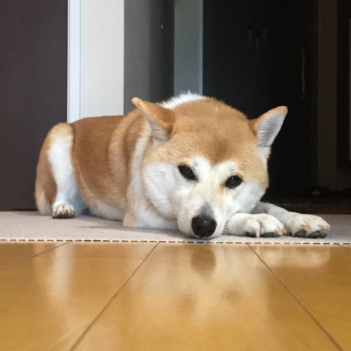 Af6806d2 d879 4be9 b7f2 f6208230cf34