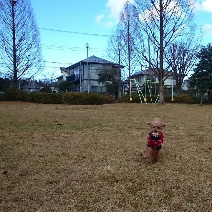 Af681f50 1c15 4eff 897b e562c1e14211