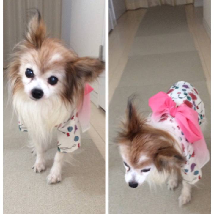 Af6841cb e6eb 46b9 81c1 822b9a11f32e