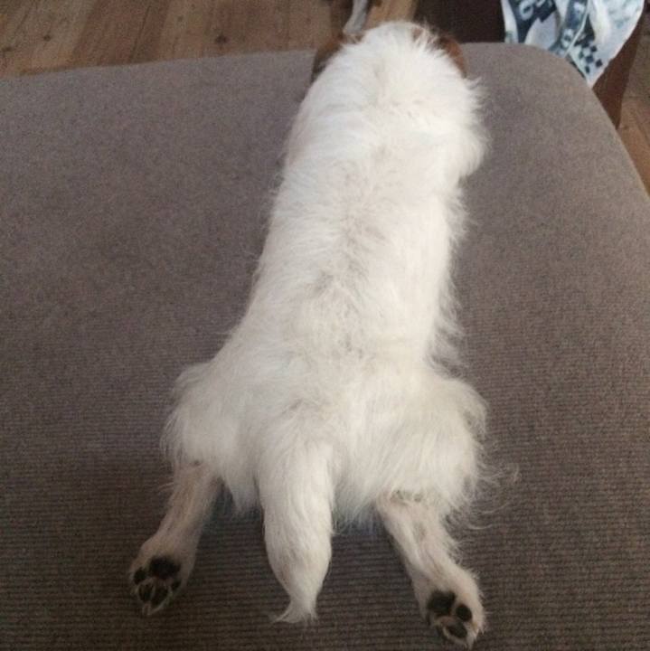 Af694058 66d2 4b14 ac26 32023509ed73