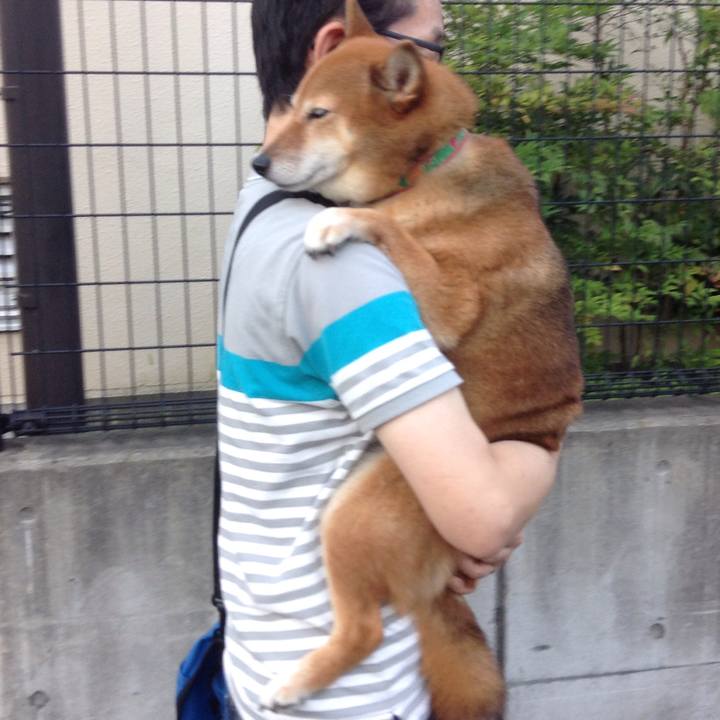 Af6972e8 e21e 4cad 948b dee02d1bf7ff