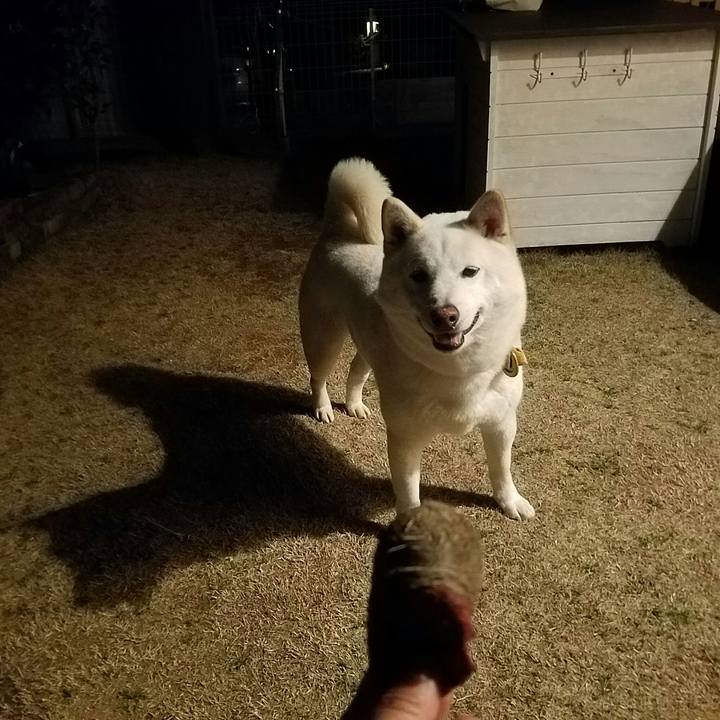 Af69ca37 1f56 4e43 b926 b4a09e6258b2