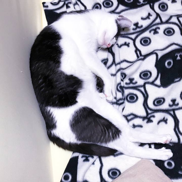 Af6a21d1 c06b 4764 8bb8 1bb36414c3b8