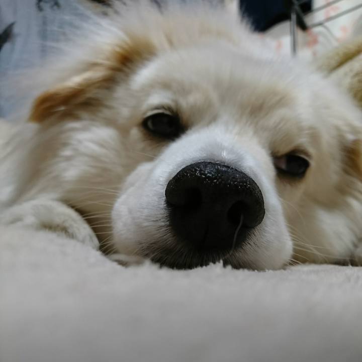 Af6a23b3 2414 44e0 b85b a52b59c6e8bc