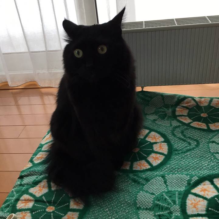 Af6aa684 ae8f 492c 8d6c 4bba6188e4c3