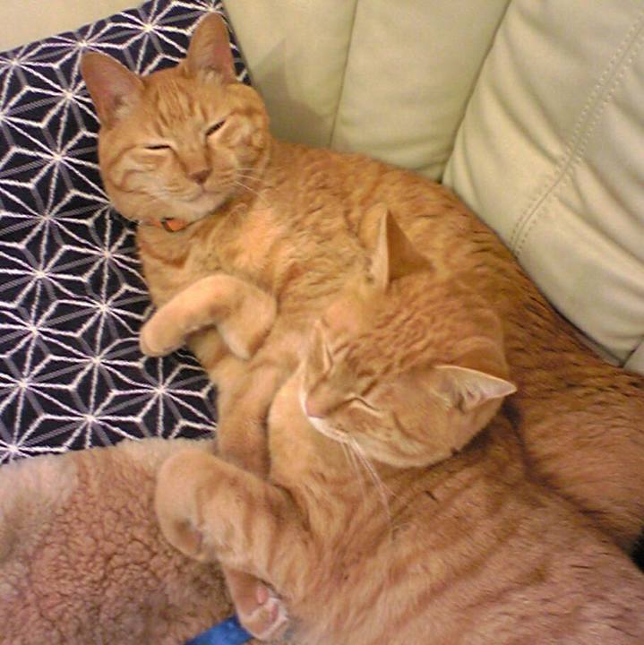 Af6ac37b 44aa 4bf1 ae62 9704d2d1c8bf