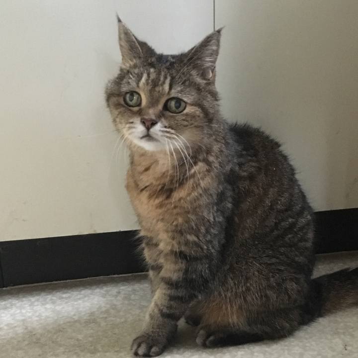 Af6acd6d 311a 462f 9aa1 fd0da54c81ca