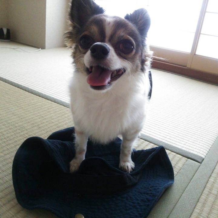 Af6b1b91 73aa 48fa bf53 9d8c72228b6d