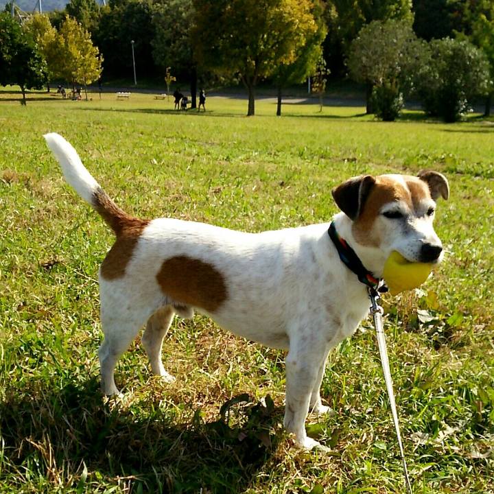 Af6baf18 1fd3 4a6b 8f8d c7f113edca54