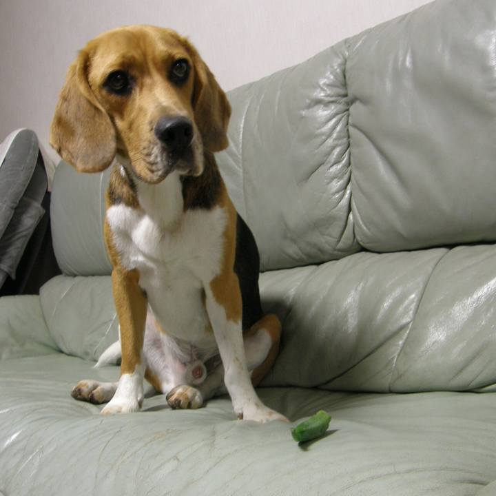 Af6d29fa 589d 4e18 8c26 67b0685be375