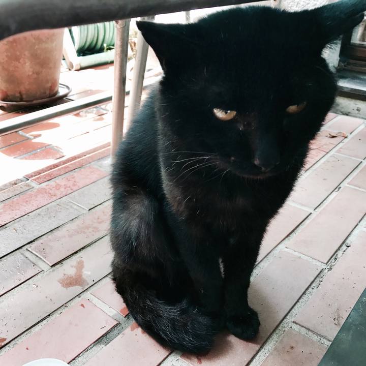 Af6d8f22 d1f2 4e26 a616 1ccc239eedbc