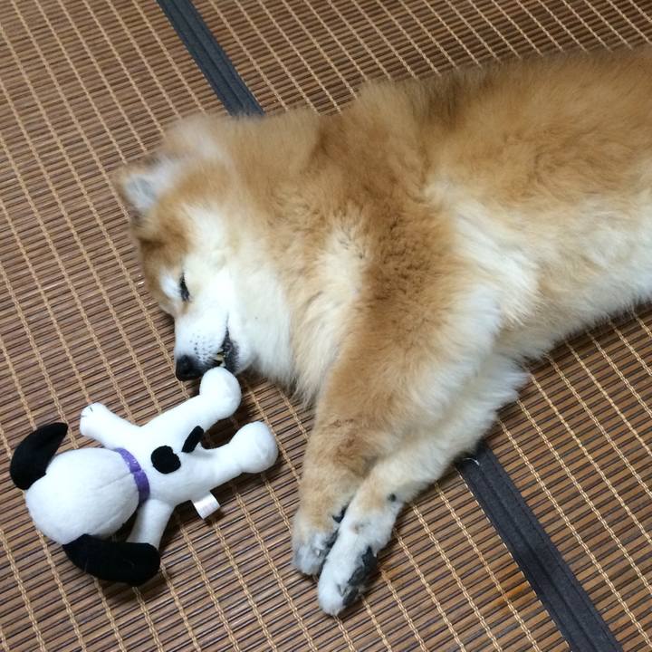 Af6dc7e1 37c6 47c0 bcab 1ae98fa809ba