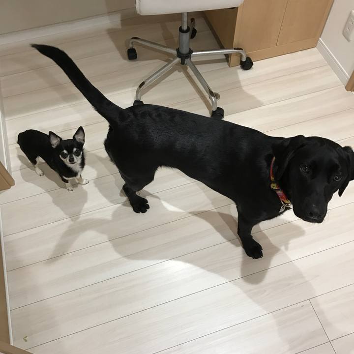 Af6ddfbc 0773 4fe5 92d8 2e3d7c830d5d