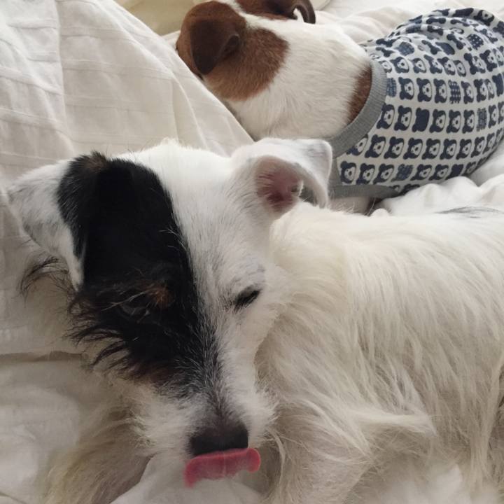 Af6e5e19 3631 4154 8fb7 5ec35864f27d