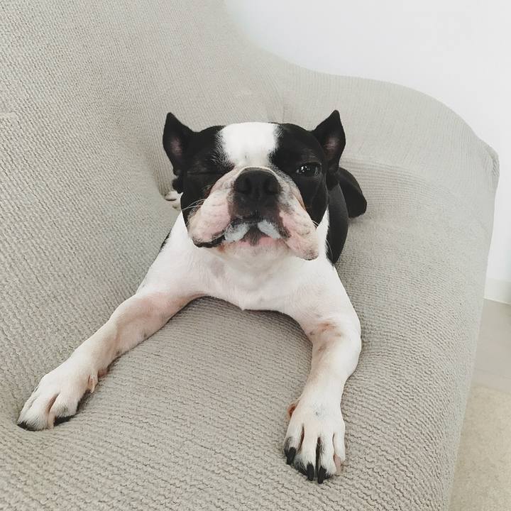 Af6e837b a5c2 480d 8960 782d96a5a2c6