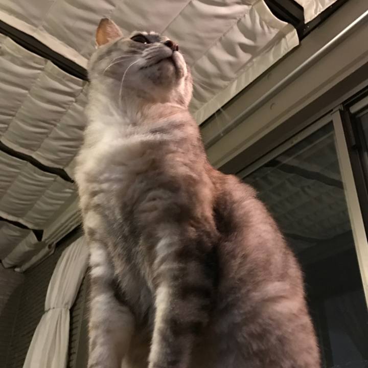 Af6eac56 9867 4675 9405 5ada4384cfb2