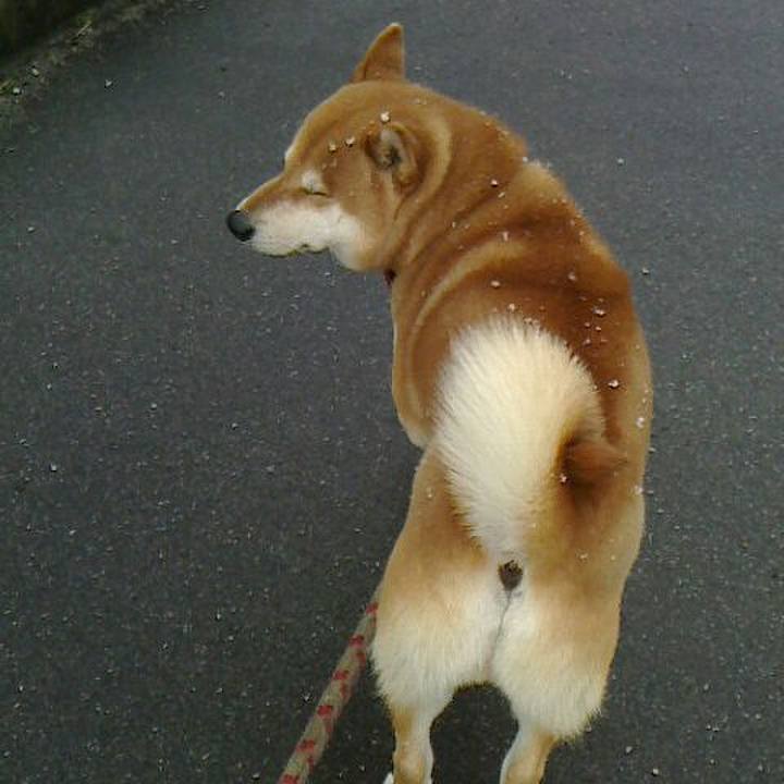 Af6ed1f4 5893 410a ade8 e086e89b9ce4