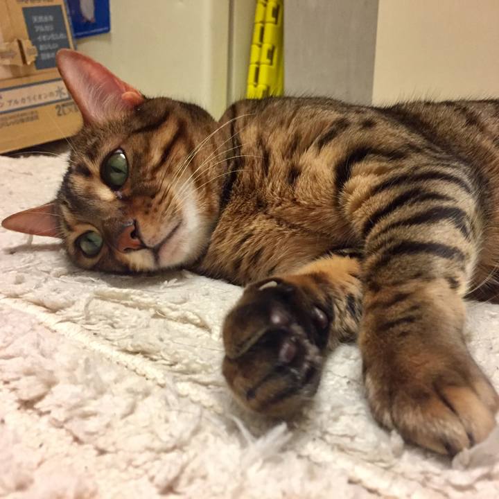 Af6edcc0 1eab 4fbd bceb ccc513986825